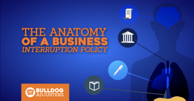 The Anatomy of a Business Interruption Policy in 2019-bulldog adjusters