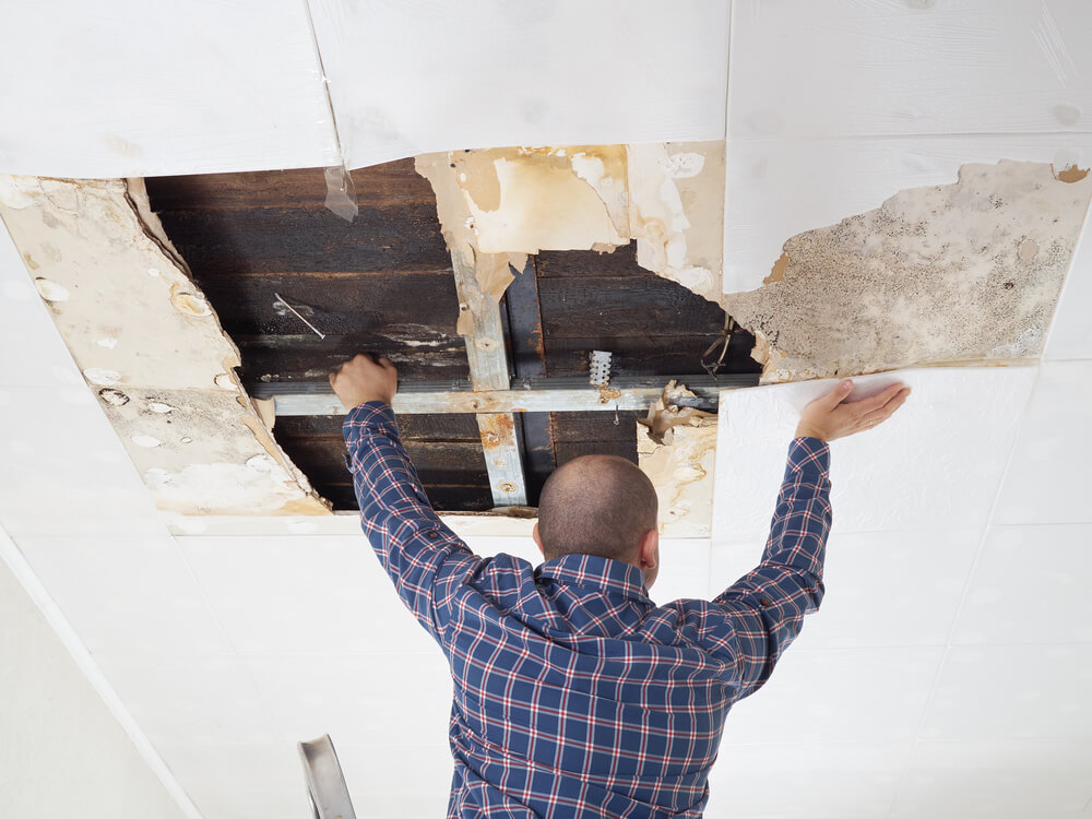 roof leak - home damage - bulldog adjusters (1)